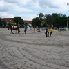 P1000784