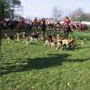 IMG_0033