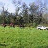 IMG_0036