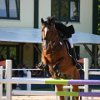 RV_Turnier_012