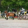 RV_Turnier_033