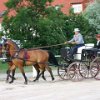 RV_Turnier_035