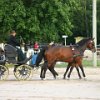 RV_Turnier_037