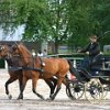 RV_Turnier_038