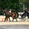 RV_Turnier_041
