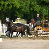 RV_Turnier_043