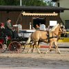 RV_Turnier_045
