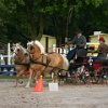 RV_Turnier_047