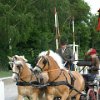 RV_Turnier_048