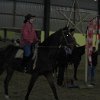 IMG_0027