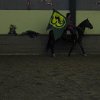 IMG_0029