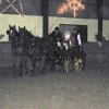 IMG_0036