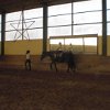 CIMG1431