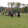 IMG_6833