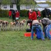 IMG_6902