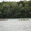 2009_RVE_WSFE33