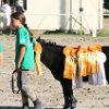 IMG_5633