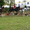 IMG_8025