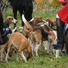 IMG_8028