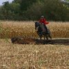 IMG_8033