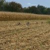 IMG_8034