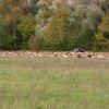 IMG_8048