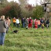 IMG_8061