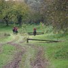 IMG_8082