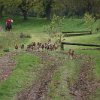IMG_8085