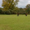IMG_8088