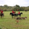 IMG_8090