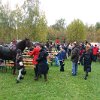 IMG_8103
