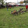 IMG_8117