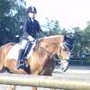 BILD0036