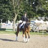 BILD0050