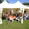 IMG_7331