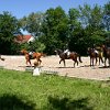 IMG_7350