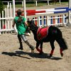 IMG_7355