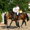 IMG_7385
