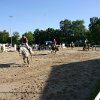 IMG_7391