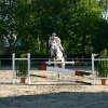 IMG_7398