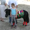 IMG_7400