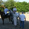 IMG_7405