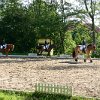 IMG_7433