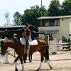 IMG_7461