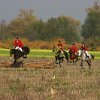 IMG_9583
