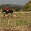 IMG_9584