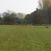 IMG_9602