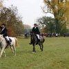 IMG_9612