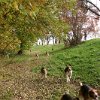 IMG_9621